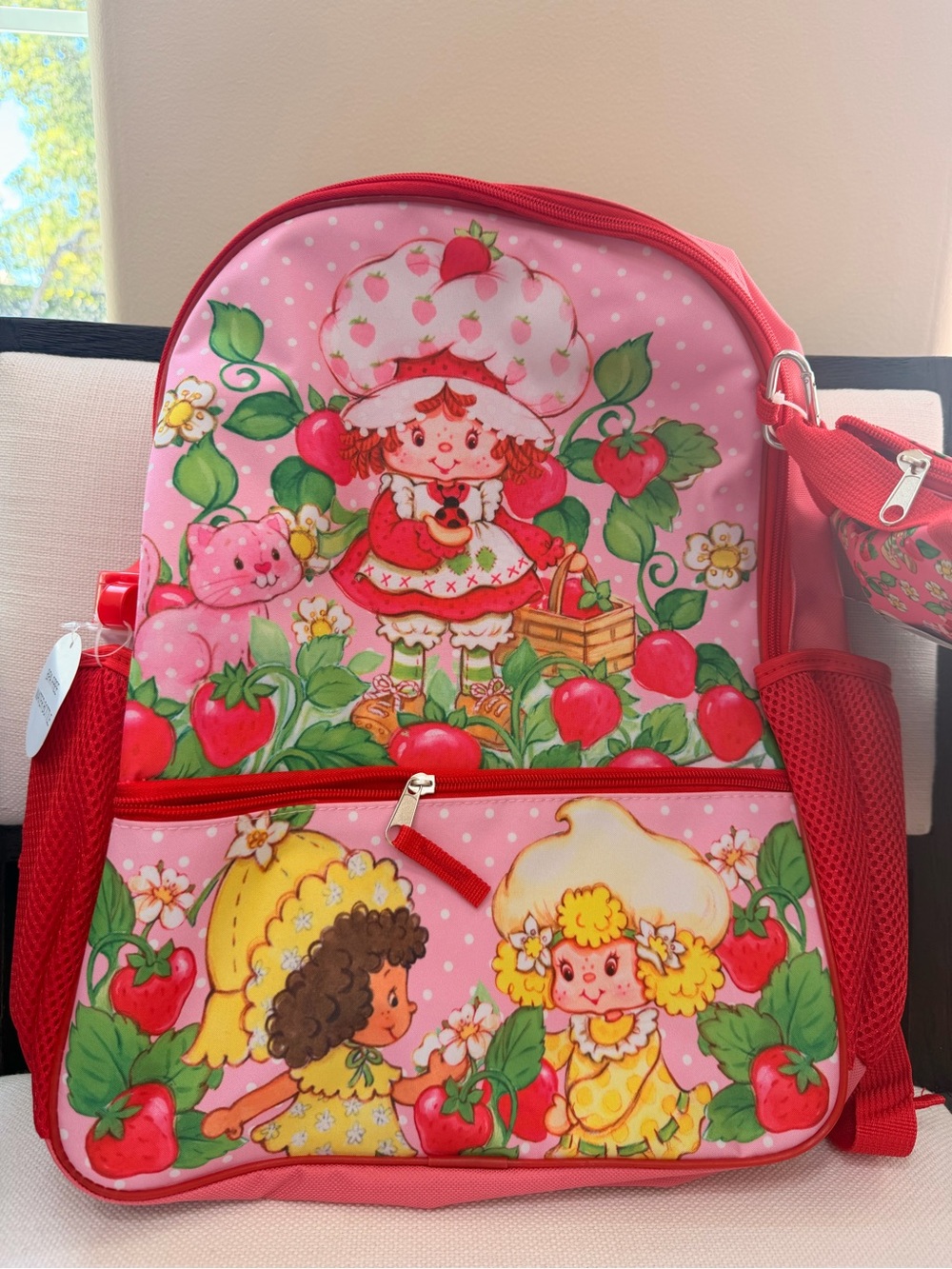 Strawberry Shortcake 5-Piece Backpack Set – BNWT